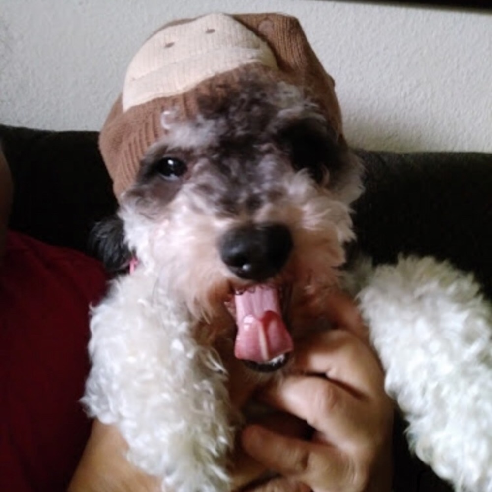 Meet your Posher, Natalia